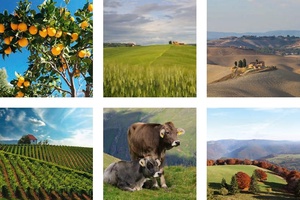 LAG na sastanku Mreže za ruralni razvoj