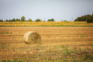 KONTINUIRANI RAZVOJ I NADOGRADNJA AGRONET SUSTAVA – PRIPREME ZA NOVO PROGRAMSKO RAZBOLJE U TIJEKU