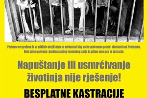 BESPLATNA KASTRACIJA PASA NA PODRUČJU OPĆINE ANTUNOVAC