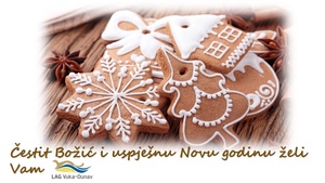 Sretan Božić i uspješna Nova Godina!