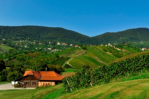 OBJAVLJEN JAVNI POZIV ZA FINANCIRANJE PROGRAMA I PROJEKATA UDRUGA KOJE PROMIČU POLJOPRIVREDU I VRIJEDNOST RURALNOG PROSTORA