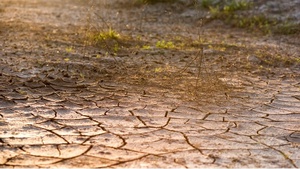 Poništen Javni poziv za provedbu intervencije 78.a.01. Krizna plaćanja poljoprivrednicima nakon prirodnih katastrofa, nepovoljnih klimatskih prilika ili katastrofalnih događaja