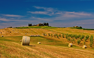 PRELIMINARNA ANALIZA DUGOROČNE VIZIJE RAZVOJA RURALNIH PODRUČJA