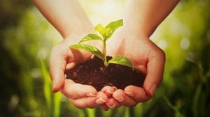 Objavljen pravilnik o provedbi podmjere 10.2. „Potpora za očuvanje,  održivo korištenje i razvoj genetskih resursa u poljoprivredi“