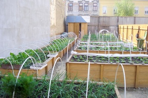 Poziv za sudjelovanje u edukacijskom programu „Pomoćni radnik u ekološkoj hortikulturi“