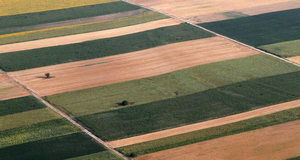 Produljen rok do 31. siječnja 2026. godine za dostavu dokaza o vlasništvu ili posjedu ili Izjave o posjedovanju privatnog poljoprivrednog zemljišta iz ARKOD-a