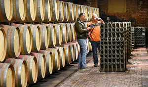 Najava Javnog natječaja za mjeru Ulaganja u vinarije i marketing vina